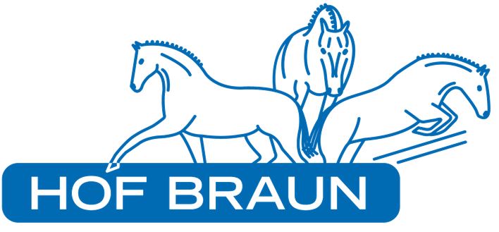 EQUI SWIM & TRAIN